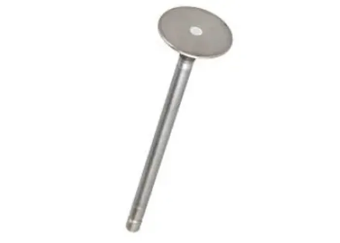 VĀRSTS IZLŪDES STD