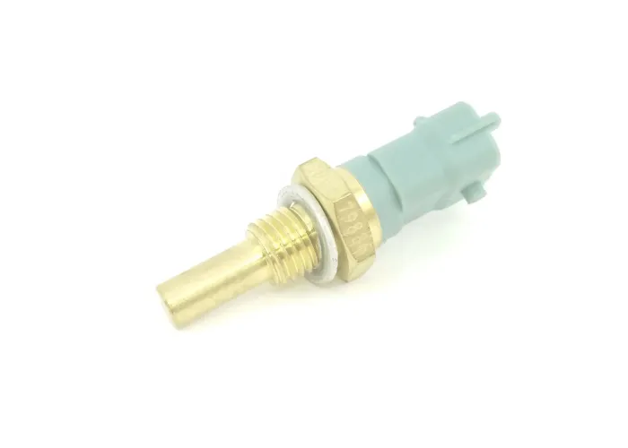 TEMPERATŪRAS SENSORS