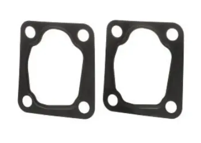 THERMOSTAT GASKET