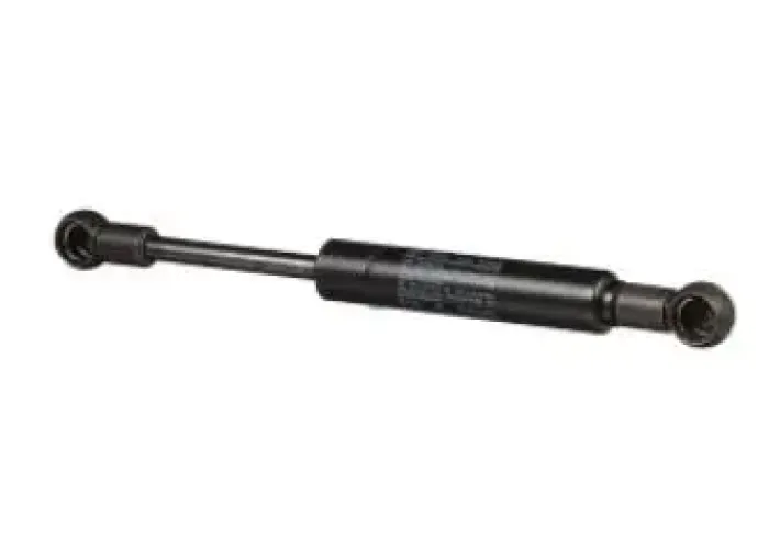 GAS STRUT