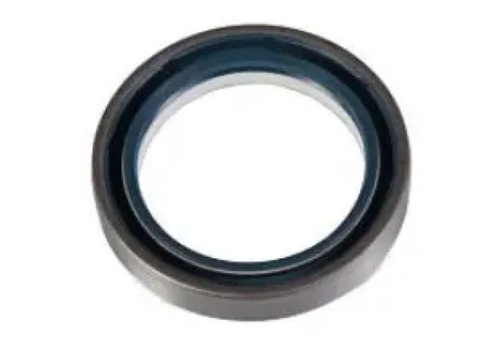 PR/AIZM. PUSASS BLĪVSLĒGS