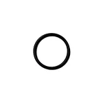 O-RING