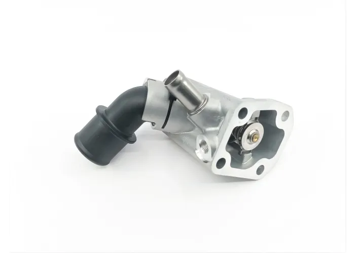 THERMOSTAT WITH HOUSING