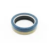 LIP SEAL 603653