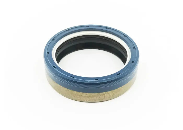 LIP SEAL 603653