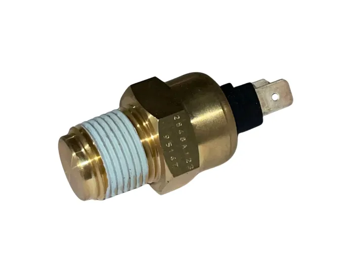TEMPERATURE SENSOR 604928
