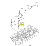 SPRAUSLAS PAPLĀKSNE KONIS