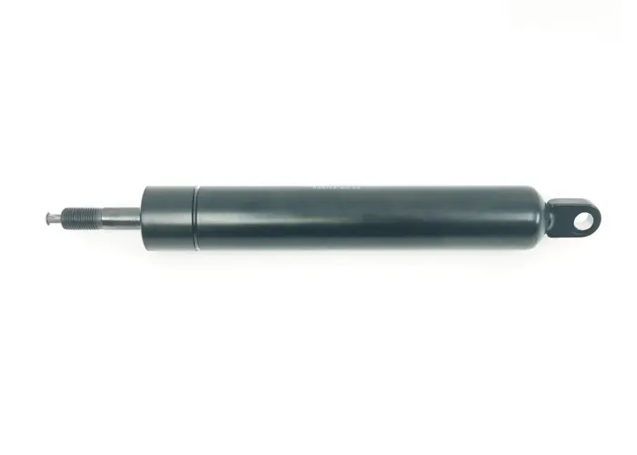 GAS STRUT