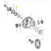 OIL SEAL DIFFERENTIAL