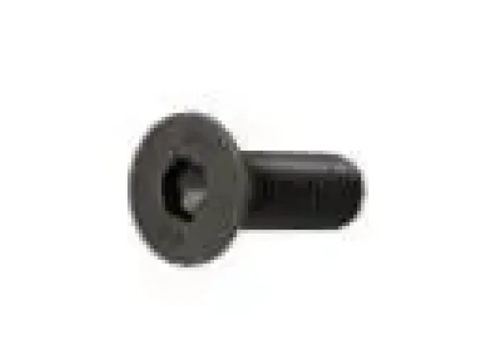 CNH SCREW INNER EDGE 87312328
