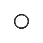 O-RING F018768 O-RING F018768