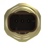 Pressure Sensor - DZ111916