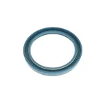 SEAL RING