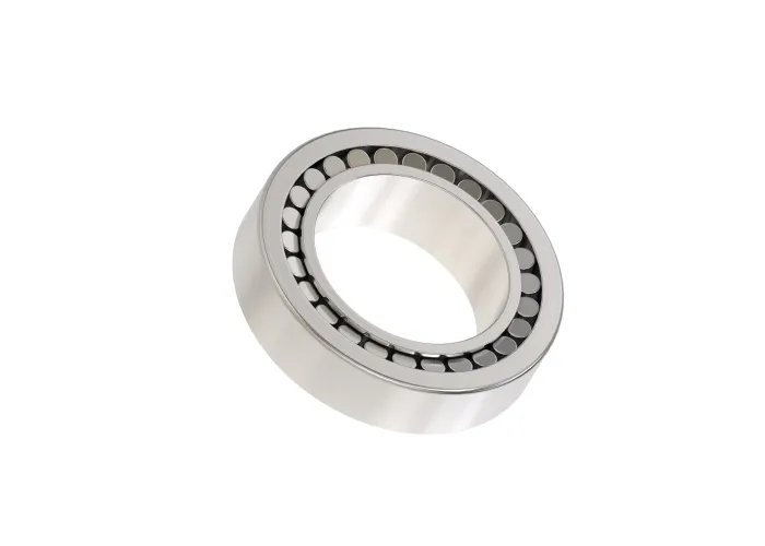Roller Bearing - F004688