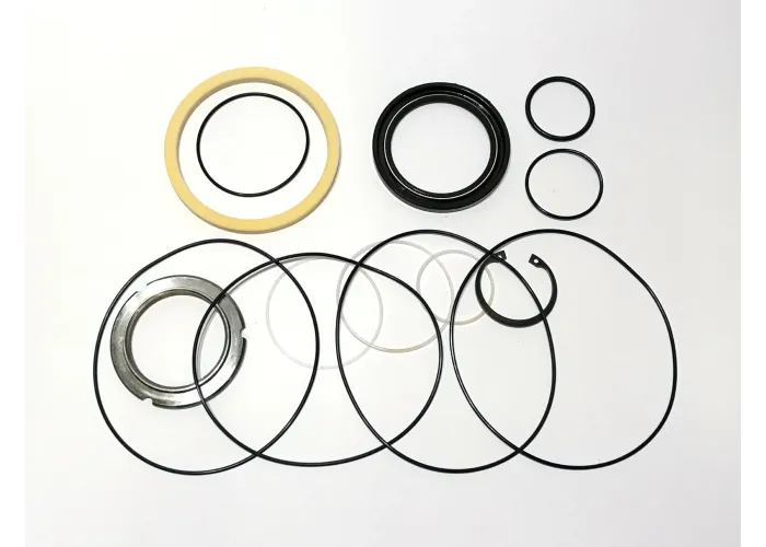 SEAL KIT TMTW SERIES