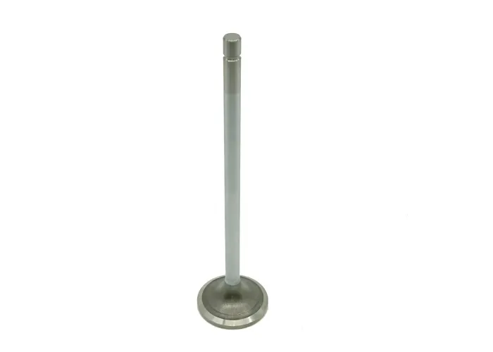 EXHAUST VALVE