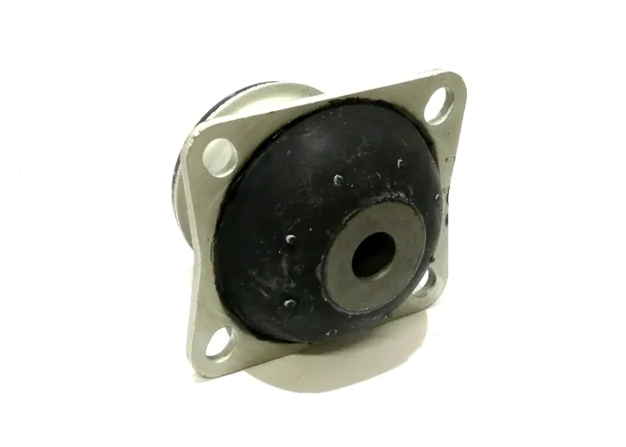 RUBBER BUSH