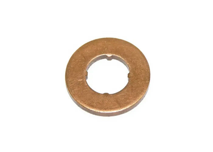 SPRAUSLAS PAPLĀKSNE